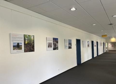 Ausstellung Hirschvogel